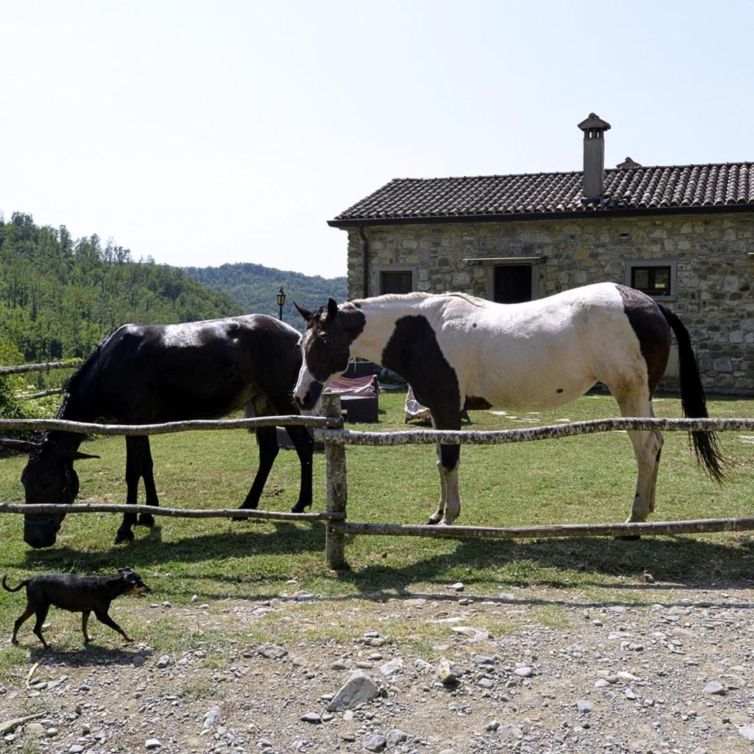 Le Chianine Dei Tognoli Villa Gragnola ภายนอก รูปภาพ