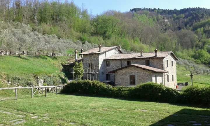 Le Chianine Dei Tognoli Villa Gragnola ภายนอก รูปภาพ