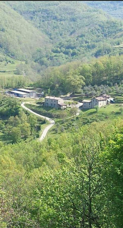 Le Chianine Dei Tognoli Villa Gragnola ภายนอก รูปภาพ